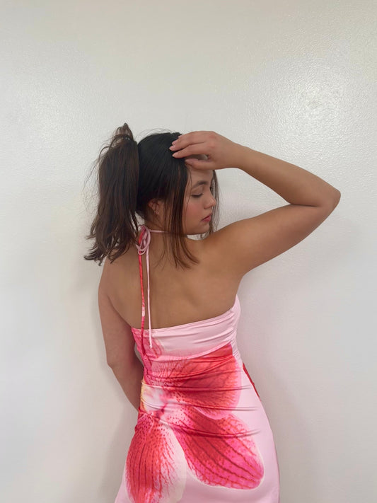 Karol Dress