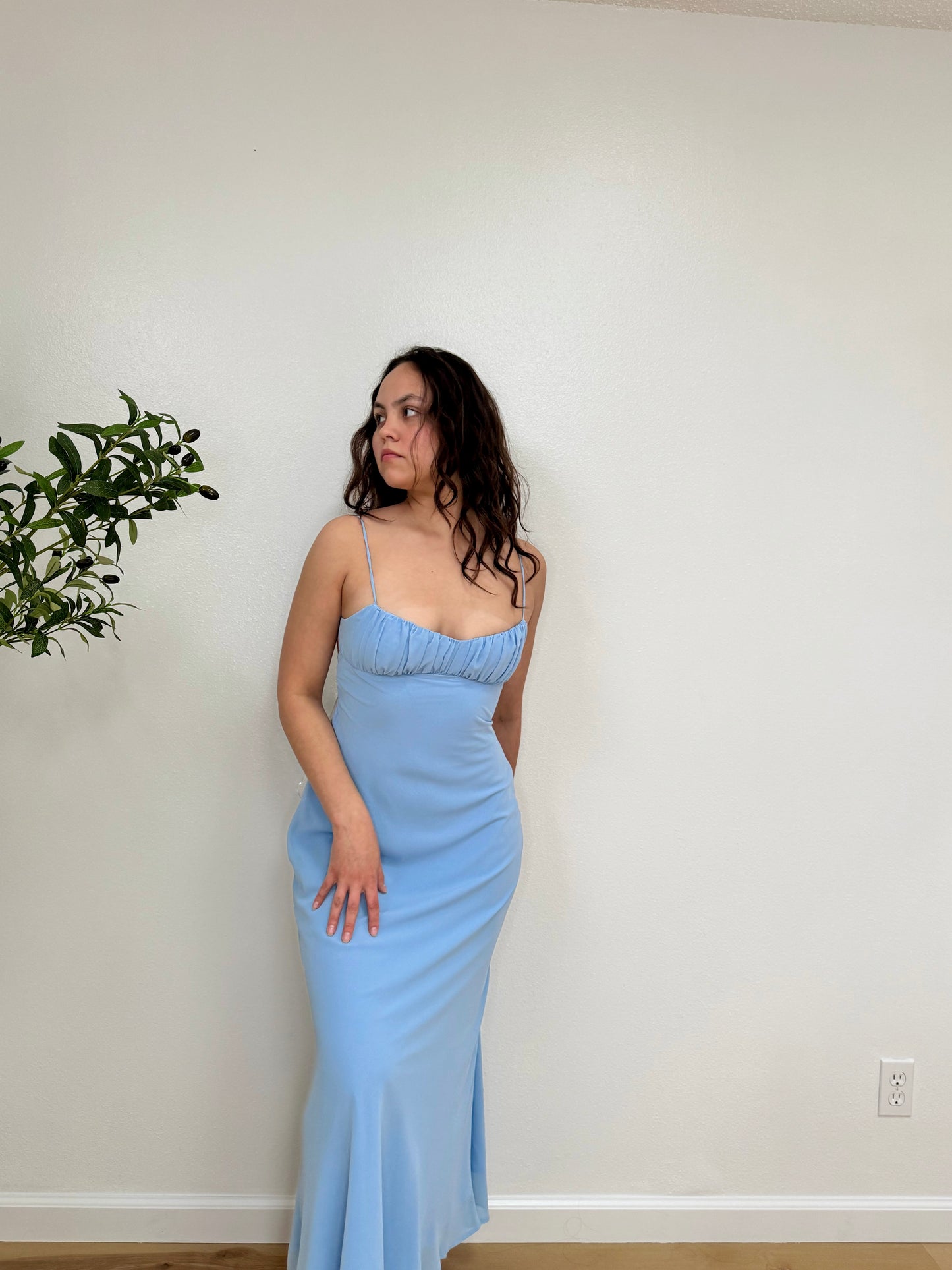Celeste Dress